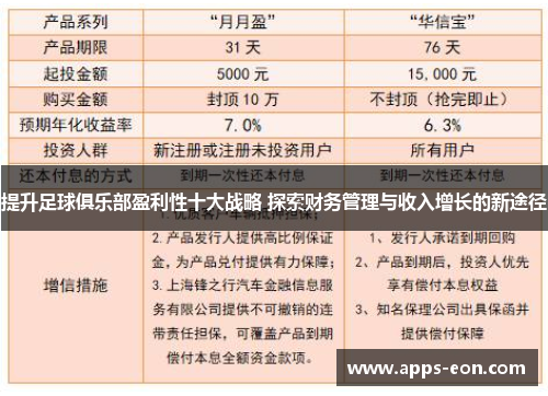 提升足球俱乐部盈利性十大战略 探索财务管理与收入增长的新途径