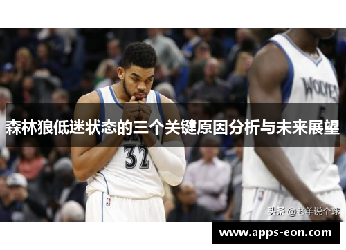 森林狼低迷状态的三个关键原因分析与未来展望