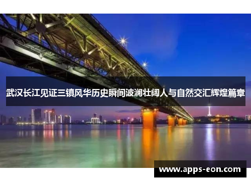 武汉长江见证三镇风华历史瞬间波澜壮阔人与自然交汇辉煌篇章