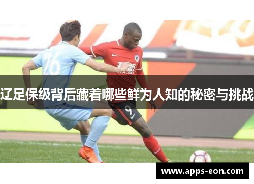 辽足保级背后藏着哪些鲜为人知的秘密与挑战